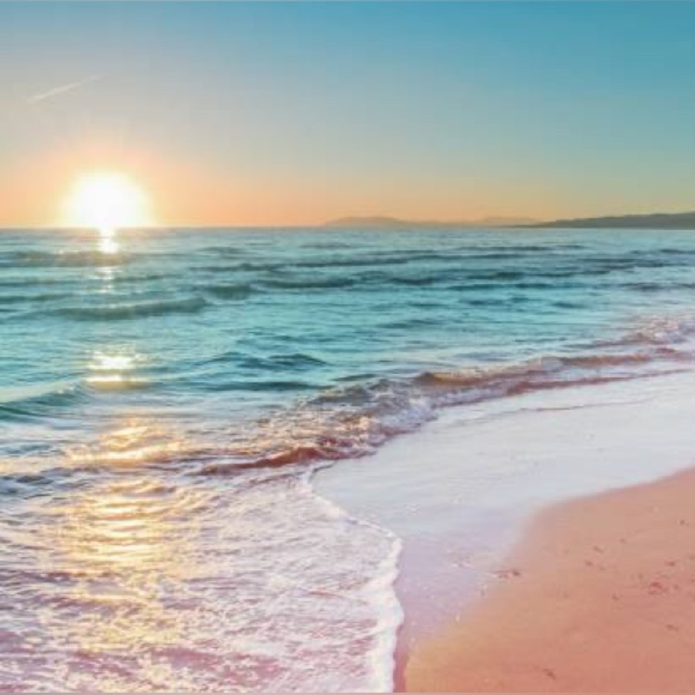 Meet your Posher, Alice